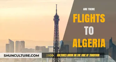 Exploring Travel Options: Are There Flights to Algeria Available?