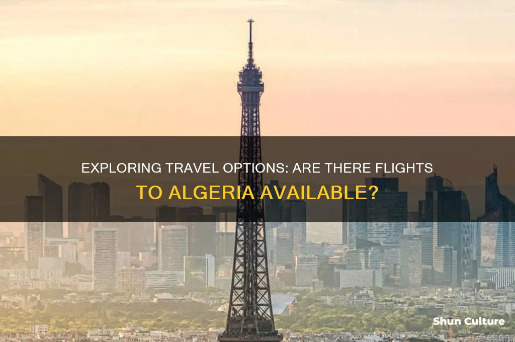are there flights to algeria