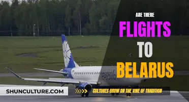 Exploring Travel Options: Flights to Belarus