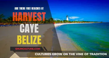 Harvest Caye, Belize: Free Beach Access?