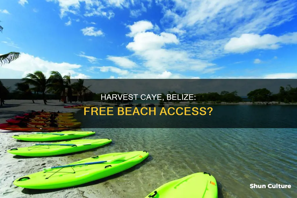 are there free beaches at harvest caye belize