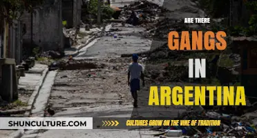 Exploring the Underworld: Gang Presence in Argentina Unveiled