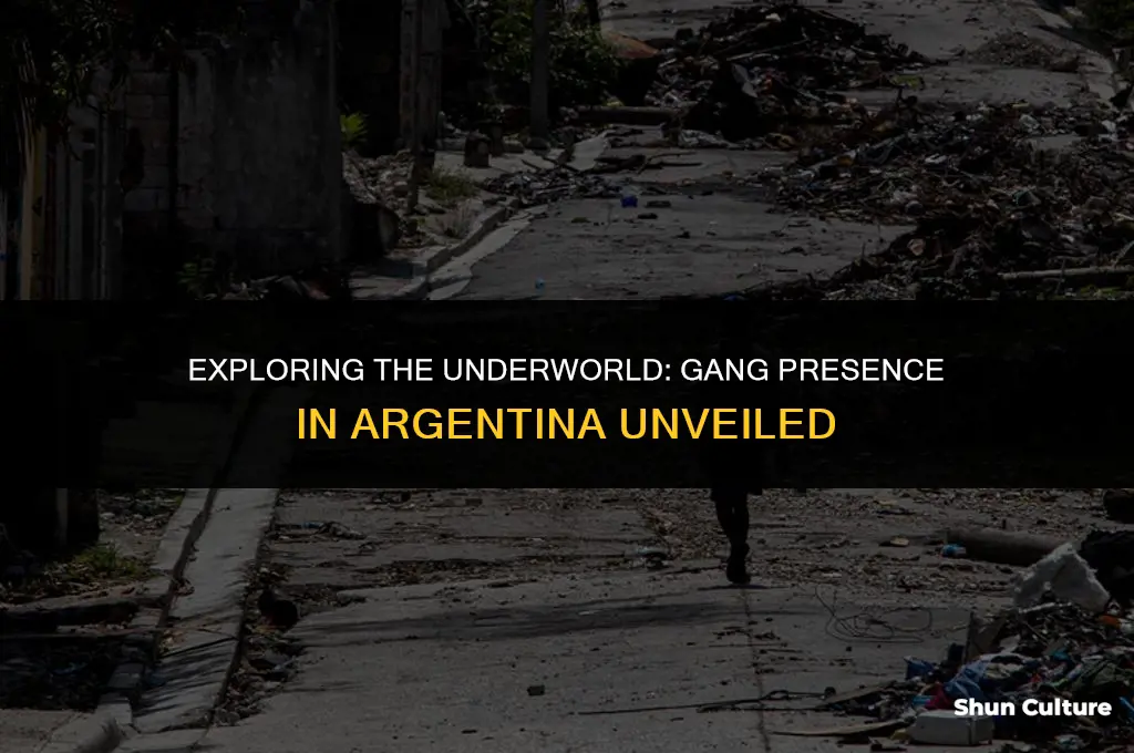 are there gangs in argentina