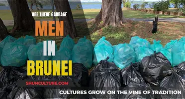 Garbage Collection Services in Brunei: Who's Responsible?