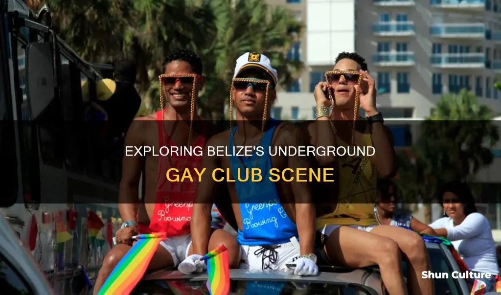 are there gay clubs in belize