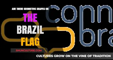 Exploring the Geometric Design Elements of Brazil's National Flag