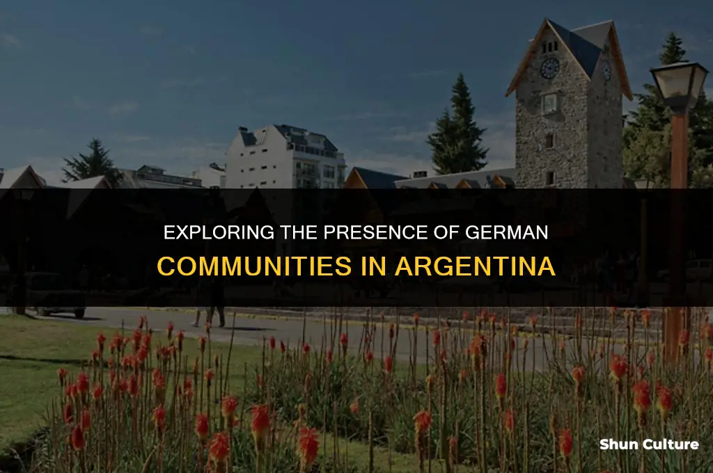 are there german communities in argentina