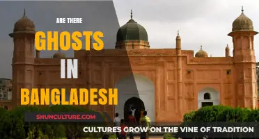 Exploring Bangladesh's Haunted Legends: Are Ghosts Real in This Country?