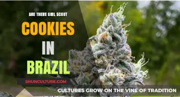 Do Brazilians Enjoy Girl Scout Cookies? Exploring Cookie Traditions Abroad