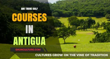 Exploring Antigua's Golf Scene: Courses, Greens, and Caribbean Charm