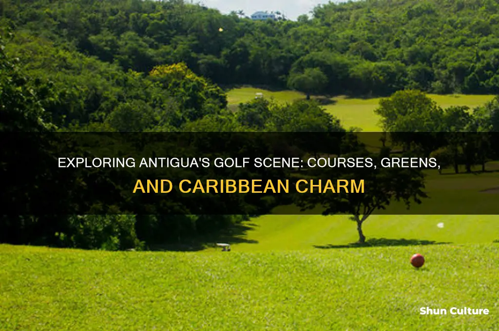 are there golf courses in antigua