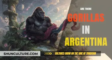 Exploring the Myth: Are There Really Gorillas in Argentina?