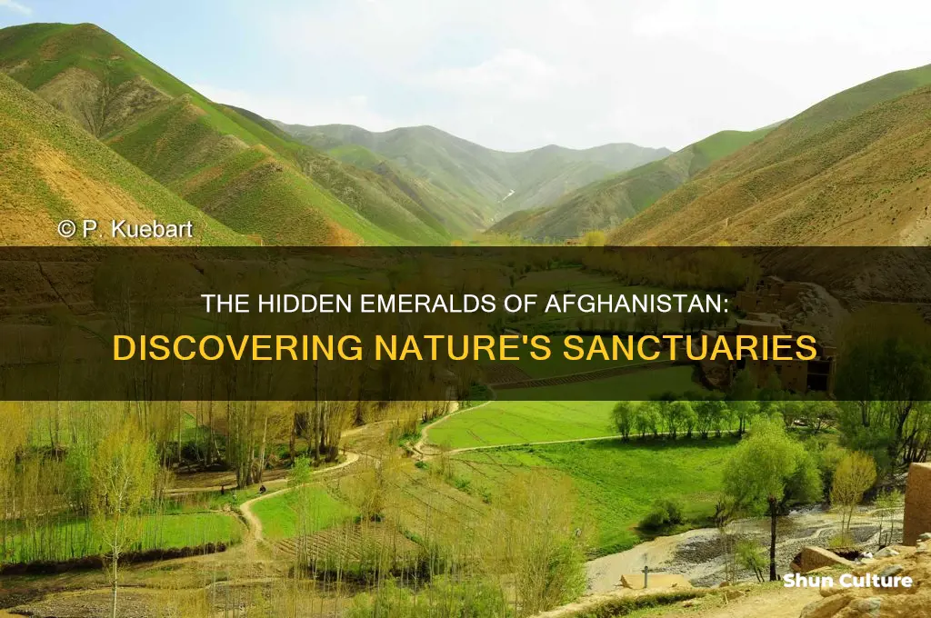 are there green environment in afghanistan