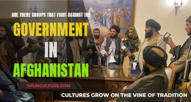 Insurgent Groups in Afghanistan: A Complex Battle Against Government Forces