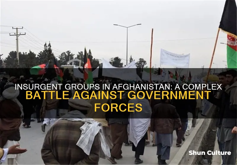 are there groups that fight against the government in afghanistan