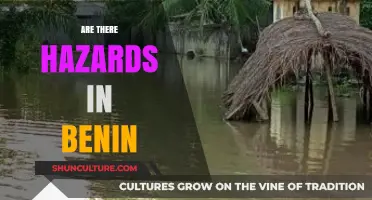 Exploring Benin: Unveiling Potential Hazards in the West African Nation