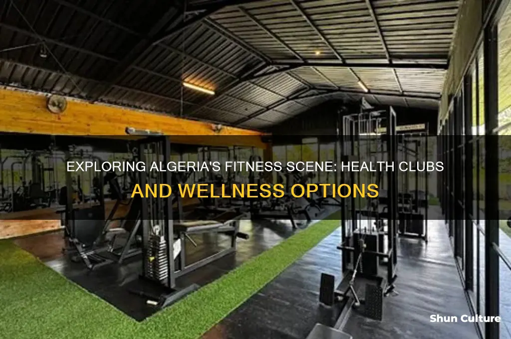 are there health clubs in algeria