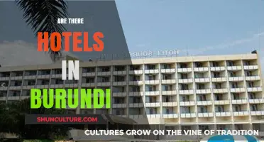 Exploring Burundi: A Guide to the Country's Hotel Scene
