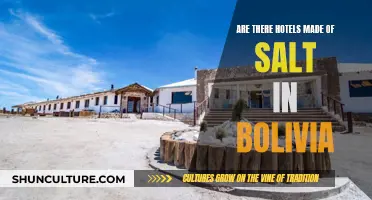 Bolivia's Salt Hotels: A Unique Accommodation Experience