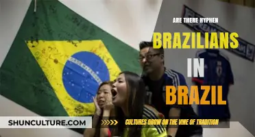 Exploring Brazil's Diversity: Are There Hyphen-Brazilians in Brazilian Society?