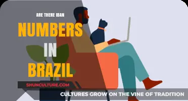 Do Brazilian Banks Use IBAN Numbers? A Comprehensive Guide