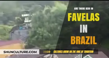 IEDs in Brazil's Favelas: Fact or Fiction?