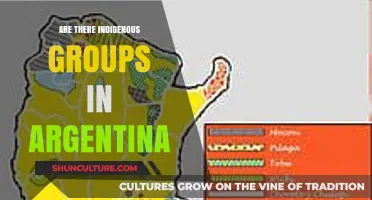 Exploring Argentina's Rich Indigenous Heritage: A Diverse Overview