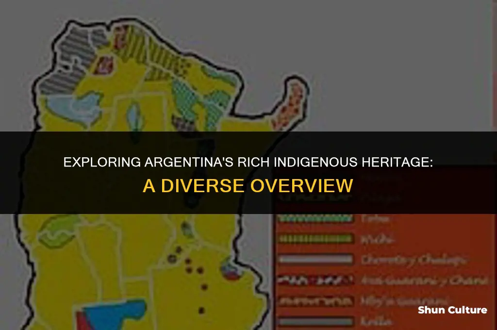 are there indigenous groups in argentina
