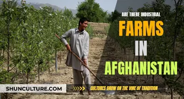 The Agricultural Landscape of Afghanistan: Exploring Industrial Farming Possibilities