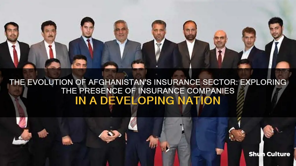 are there insurance companies in afghanistan