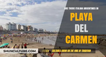 Exploring Italian-Argentine Presence in Playa del Carmen