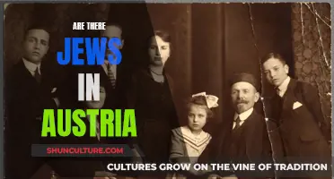 The Jews of Austria: A Historical Presence