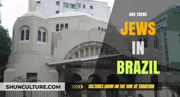 Exploring Brazil's Jewish Community: History, Presence, and Cultural Impact