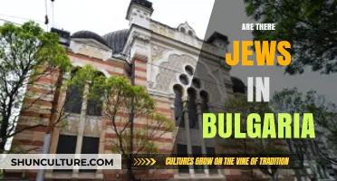 Exploring Bulgaria's Rich Jewish Heritage: A Historical Overview