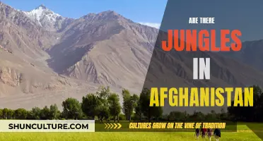 The Jungles of Afghanistan: Unveiling a Hidden Wilderness