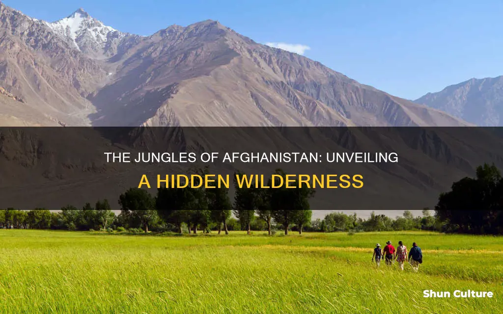 are there jungles in afghanistan