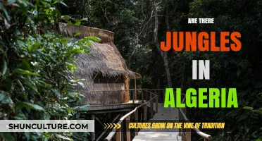 Exploring Algeria's Hidden Jungles: Myth or Reality?