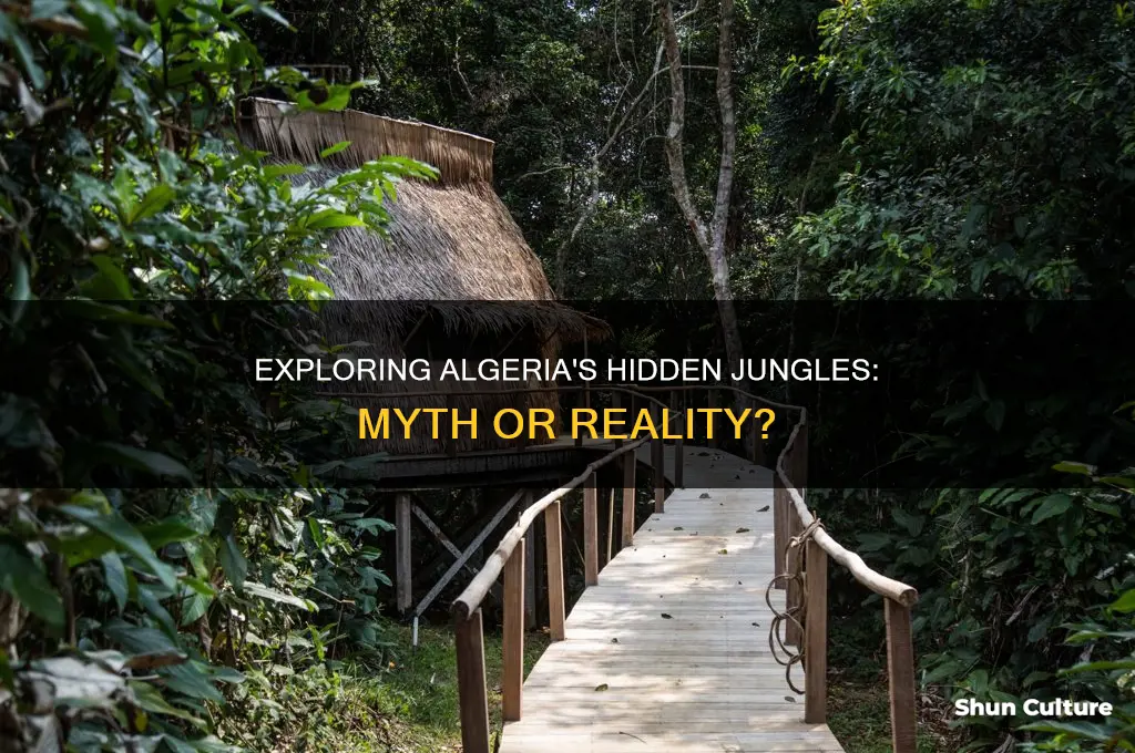 are there jungles in algeria