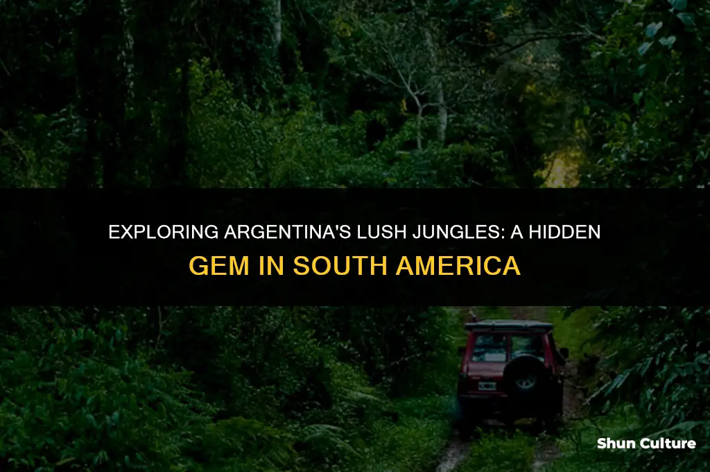 are there jungles in argentina