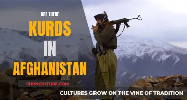 The Unseen Kurds of Afghanistan: A Shared History and Future