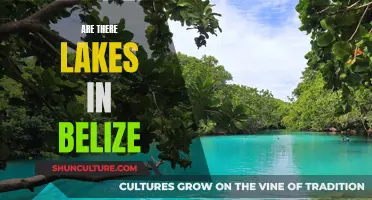 Exploring Belize's Waterways: Are There Lakes?