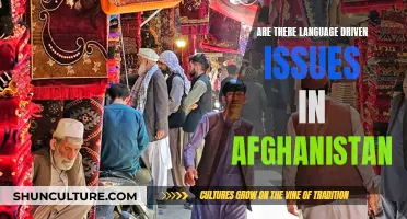 Language Barriers and Bridges: Navigating Afghanistan's Complex Linguistic Landscape