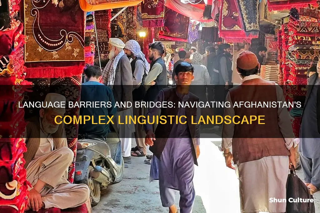 are there language driven issues in afghanistan