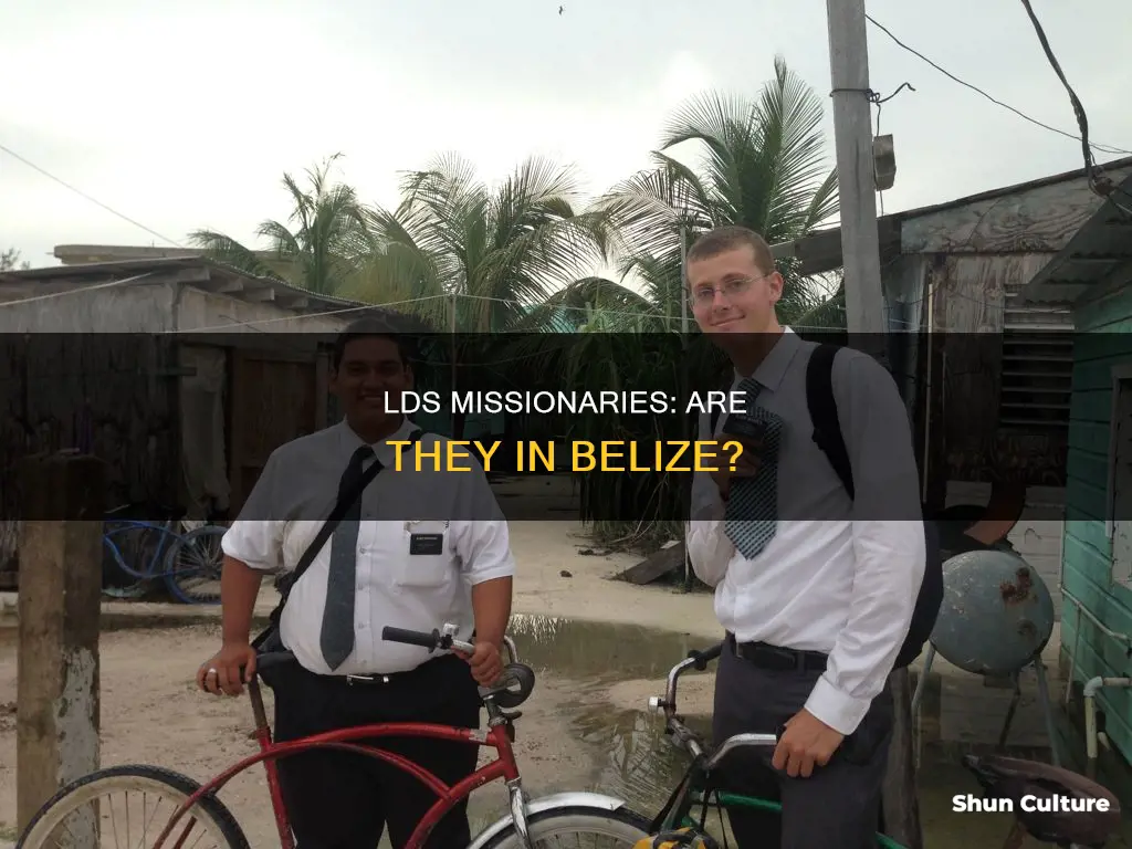 are there lds missionaries in belize