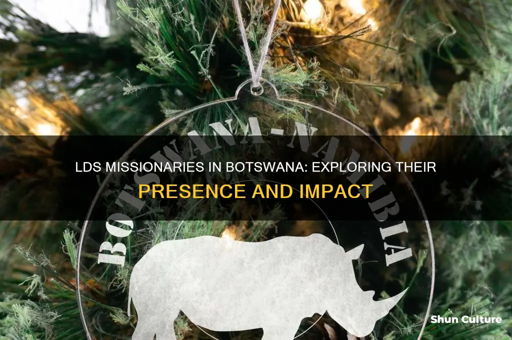 are there lds missionaries in botswana