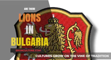 Exploring Bulgaria's Wilderness: The Truth About Lions in the Balkans
