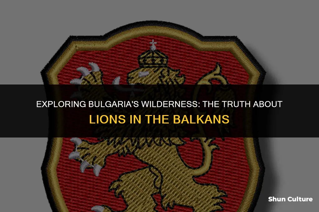 are there lions in bulgaria