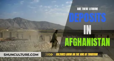 The Lithium Rush: Uncovering Afghanistan's Buried Treasure