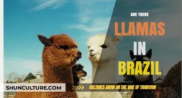 Exploring Brazil's Wildlife: Are Llamas Part of Its Ecosystem?