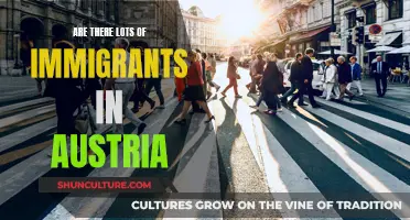 Immigration in Austria: A Comprehensive Overview